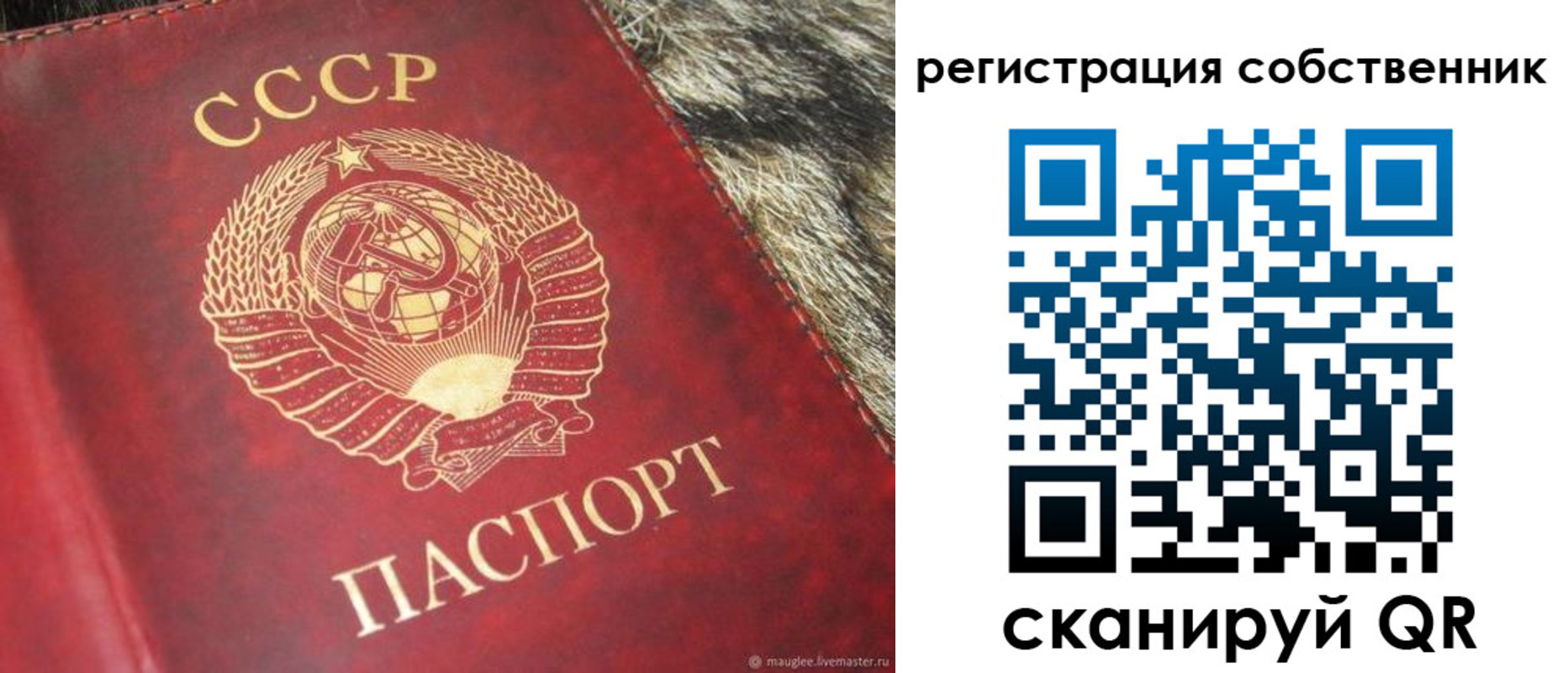 временная регистрация надежно в Амурске